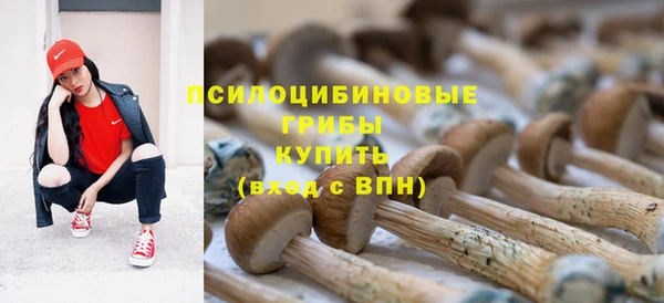 твердый Медногорск
