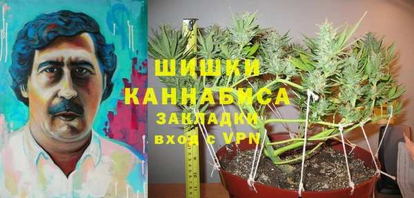 МДПВ Медвежьегорск