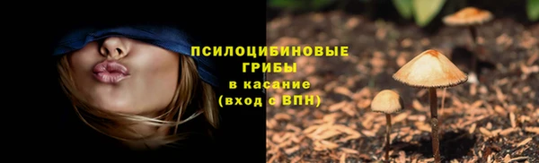 MDMA Мегион